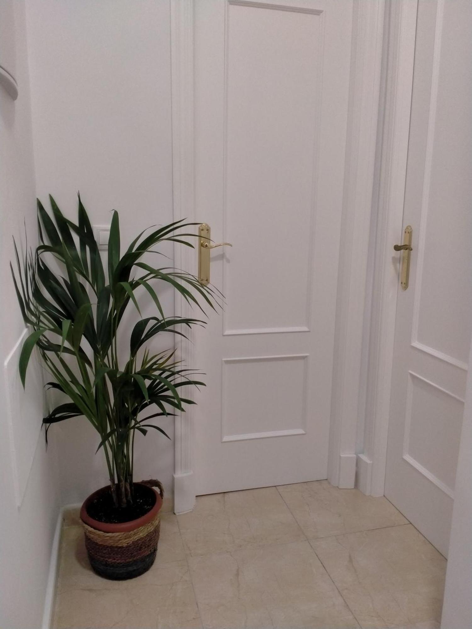 Apartamento Las Tres Lunas Sanlucar de Barrameda Exterior photo